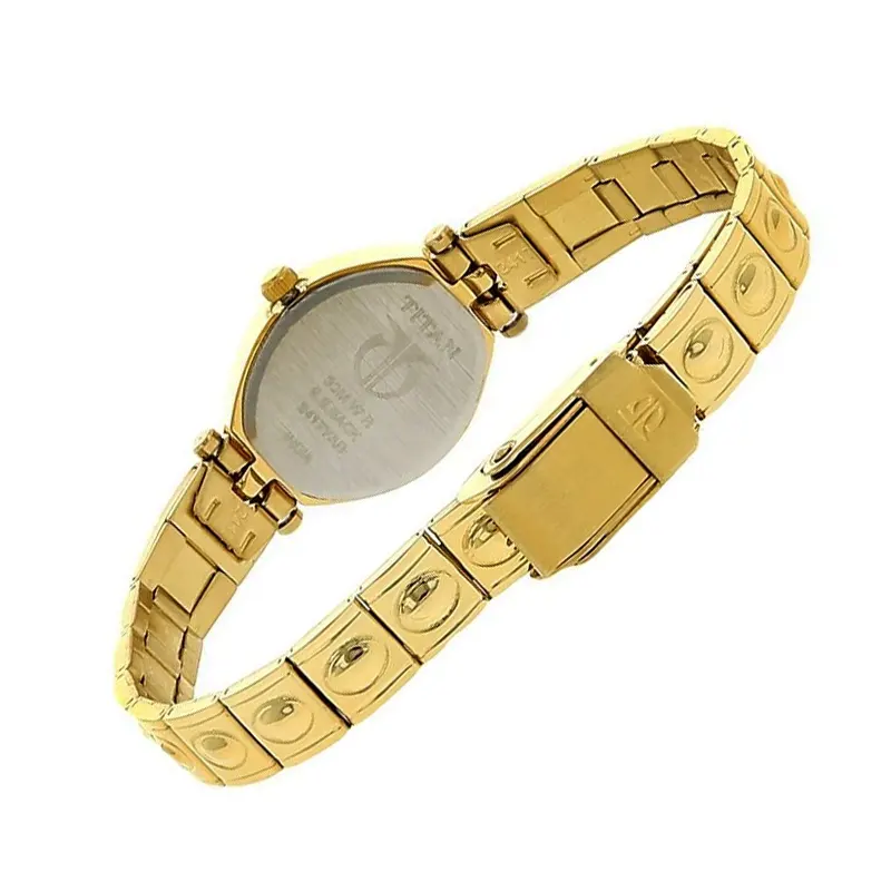 Titan Silver Dial Gold-tone Band Ladies Watch-  2417YM01